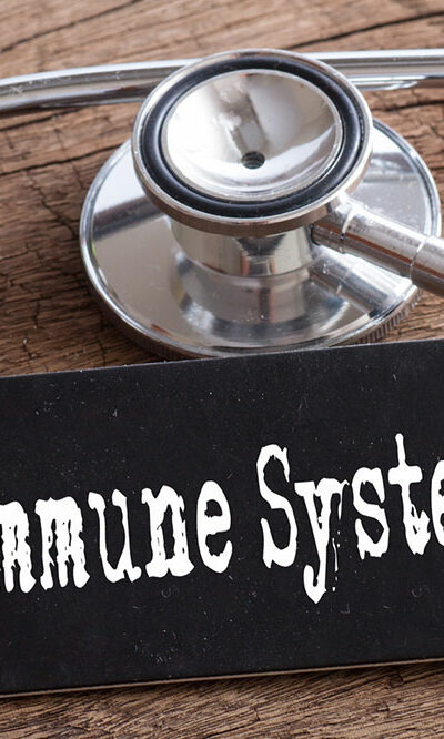 All you need to know about the human immune system